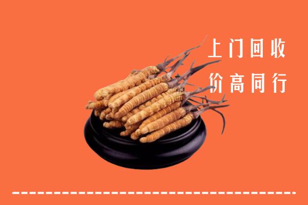 高价求购：秦皇岛卢龙县回收散虫草