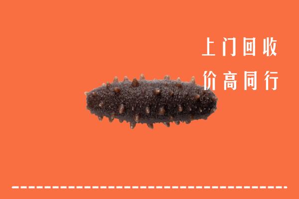 高价求购：秦皇岛卢龙县回收海参