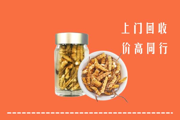 秦皇岛卢龙县回收冬虫夏草